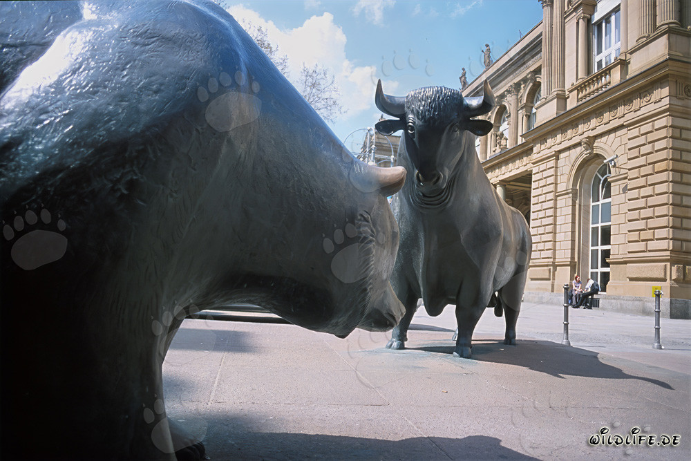 Bulle und Bär - Symbolfiguren der Börse stehen sich gegenüber