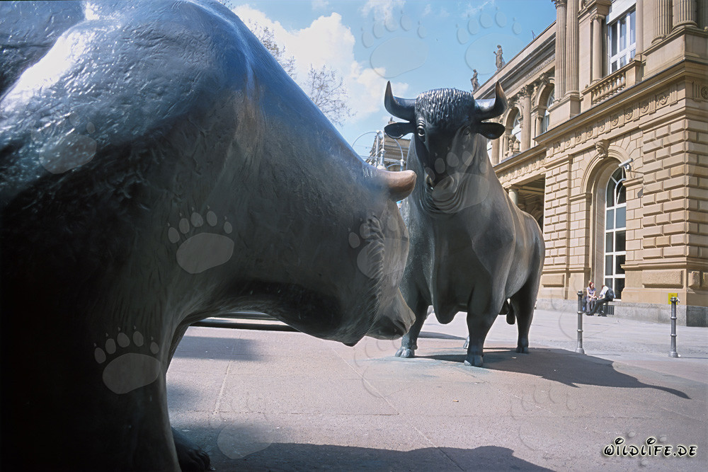 Toro y oso - Figuras simbólicas de la bolsa frente a frente