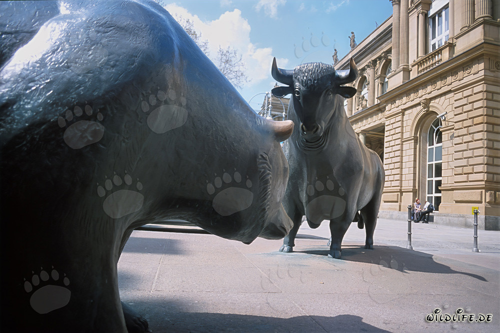 Toro e orso - Figure simboliche della borsa si fronteggiano