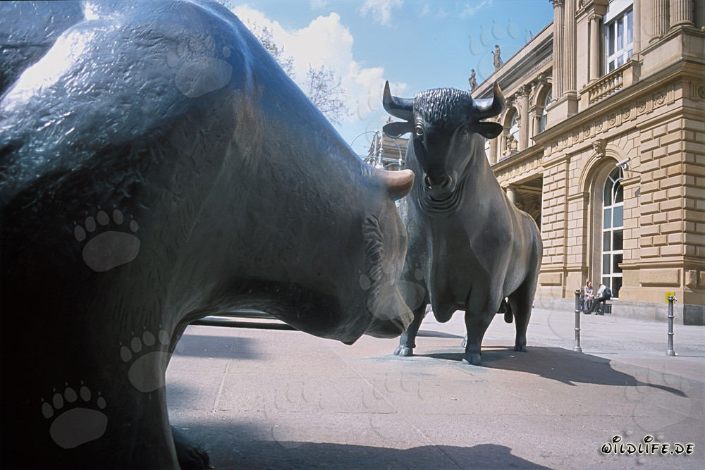 Taureau et ours - Figures symboliques de la bourse se font face