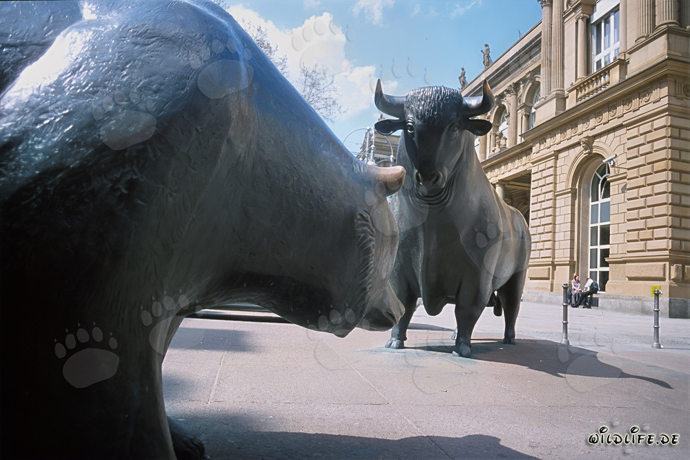 Bull and Bear - Symbolic figures of the stock exchange face each other