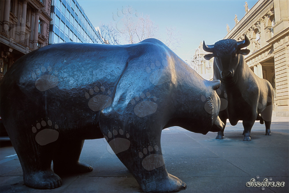 Bull and Bear - Symbols of the Stock Exchange and the Market