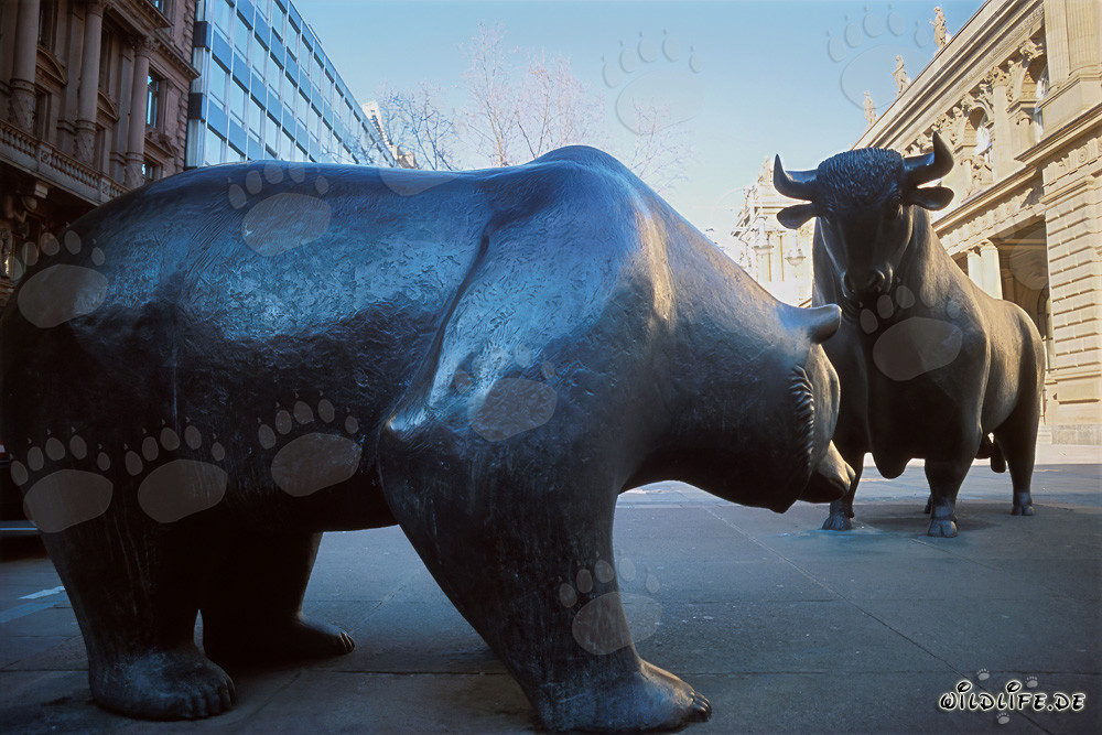 Bulle und Bär - Symbole der Börse und des Marktes