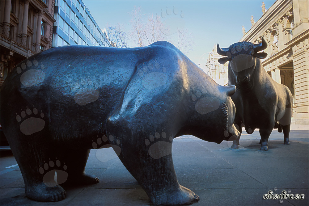 Taureau et ours - Symboles de la bourse et du marché