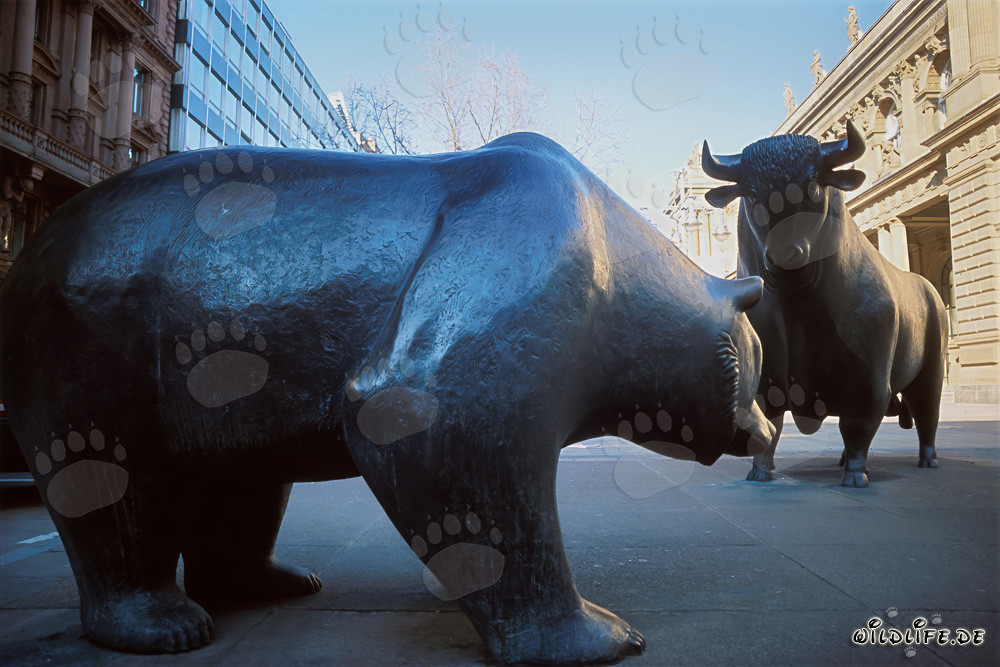 Toro e orso - Simboli della borsa e del mercato