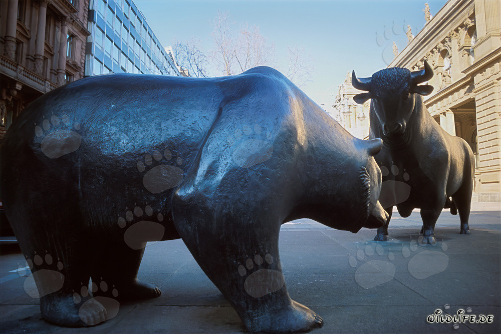 Toro y oso - Símbolos de la bolsa y del mercado