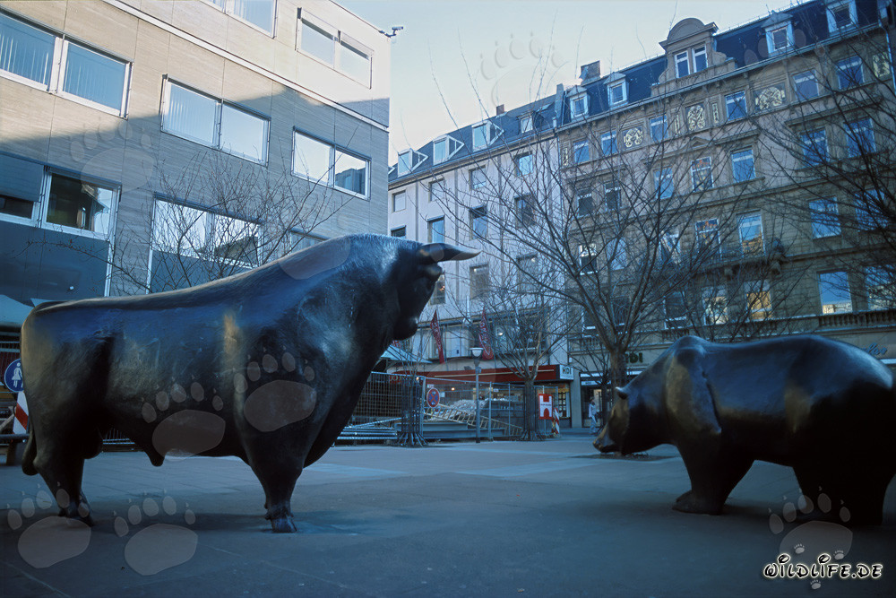 Toro y oso en la Bolsa de Fráncfort