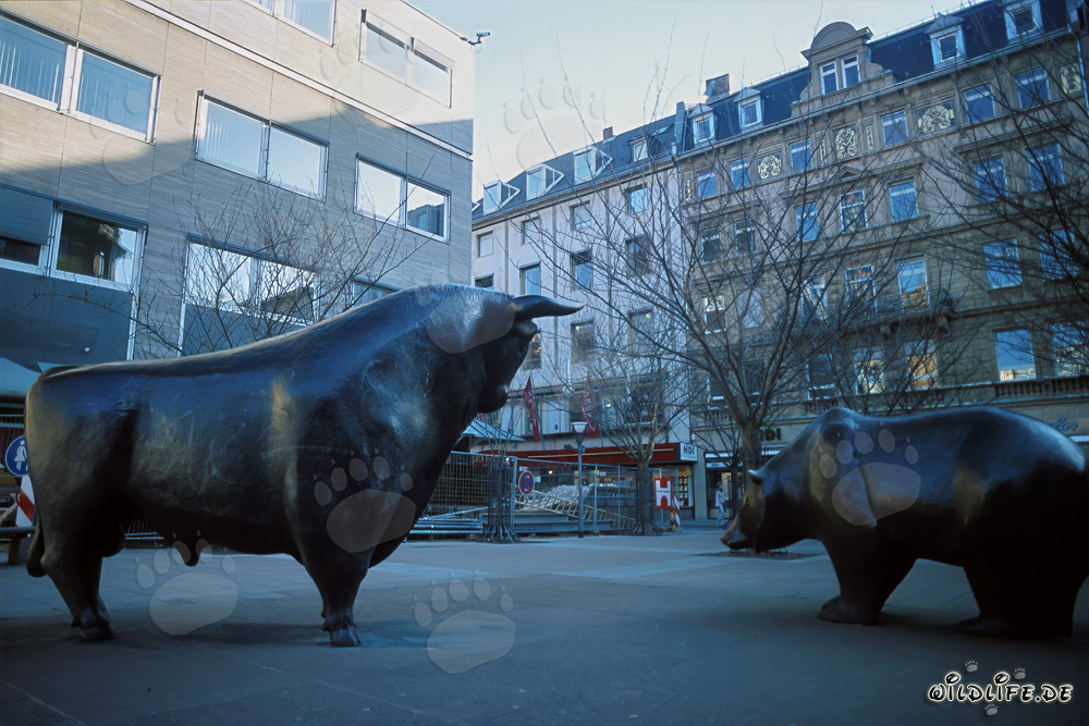 Toro e orso alla Borsa di Francoforte