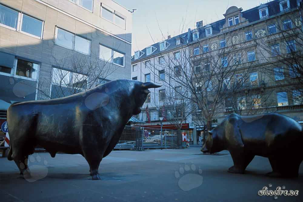 Taureau et ours à la Bourse de Francfort
