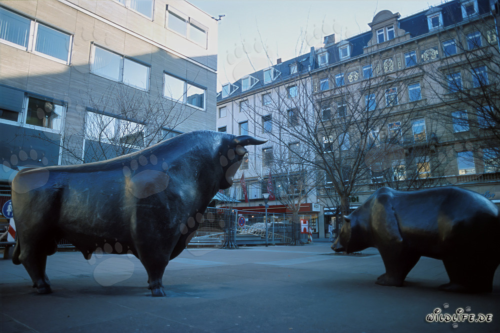 Bull and Bear at the Frankfurt Stock Exchange