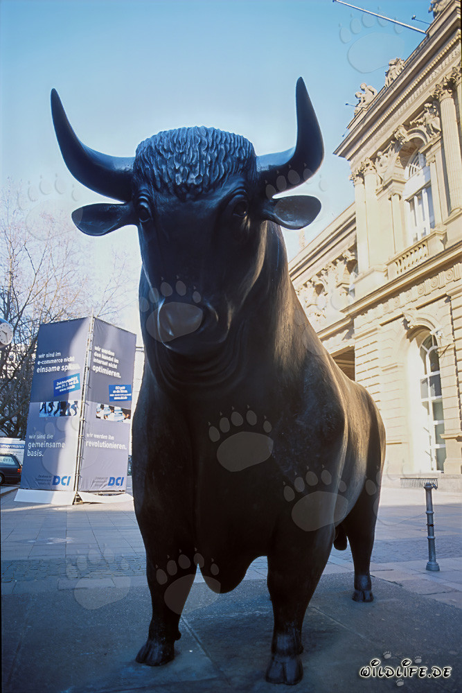 Toro davanti alla Borsa di Francoforte