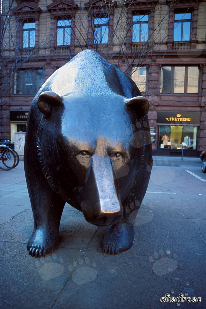 Bulle und Bär vor der Frankfurter Börse