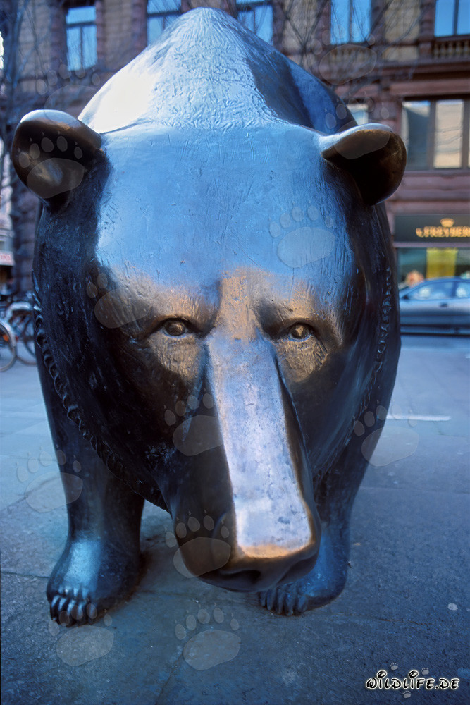 Taureau et Ours - Figures symboliques à la bourse