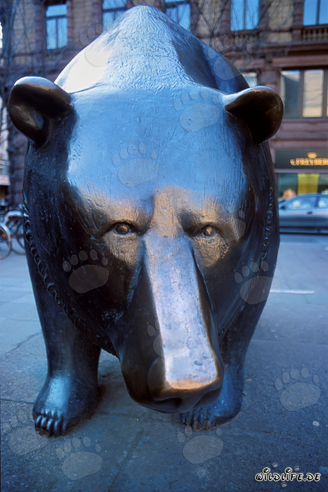 Toro e Orso - Figure simboliche in borsa