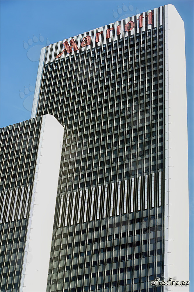 Elegante hotel Marriott Francoforte con vista sulla fiera