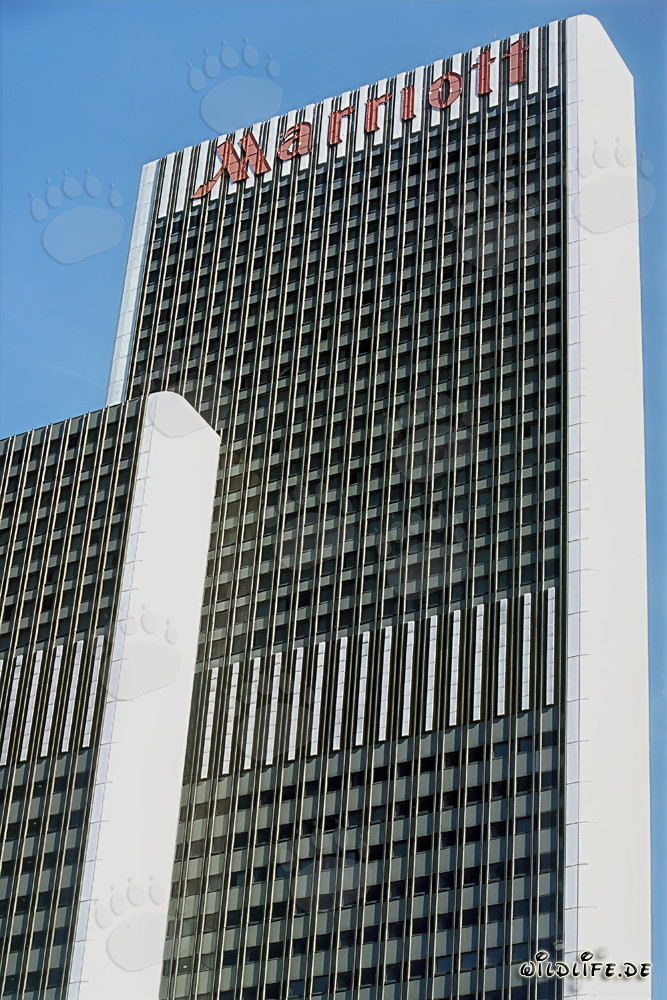 Elegant Hotel Marriott Frankfurt with View of the Trade Fair