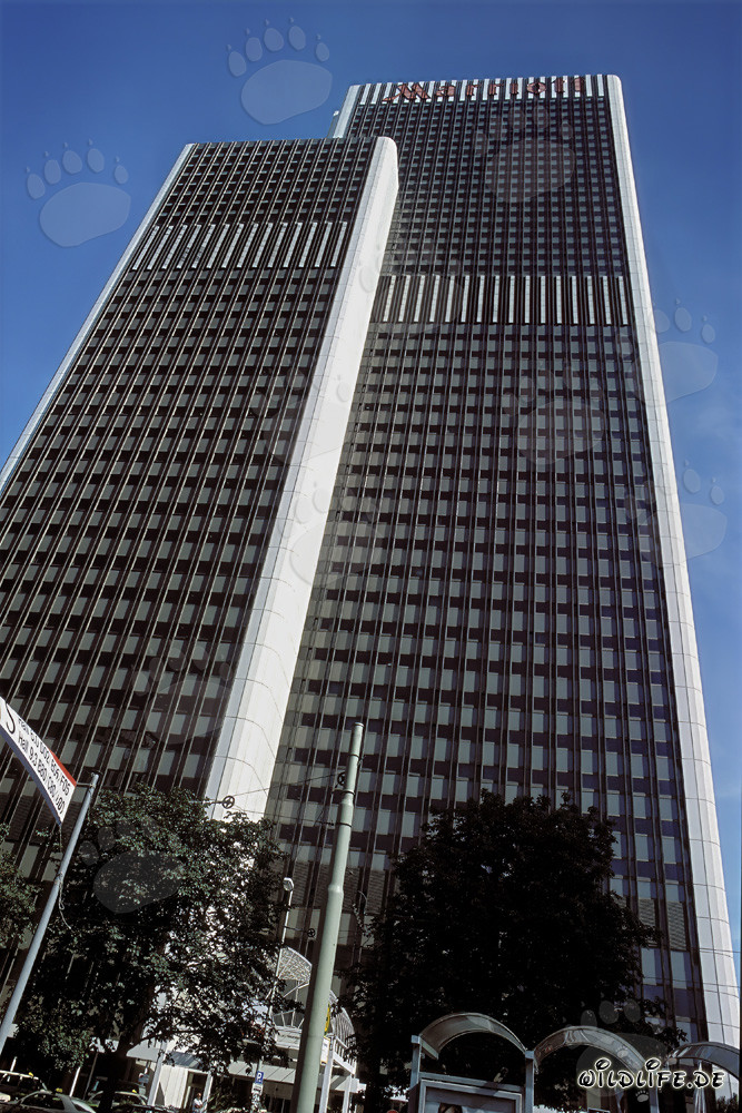 Architectural Design of the Frankfurt Marriott Hotel in Frankfurt am Main