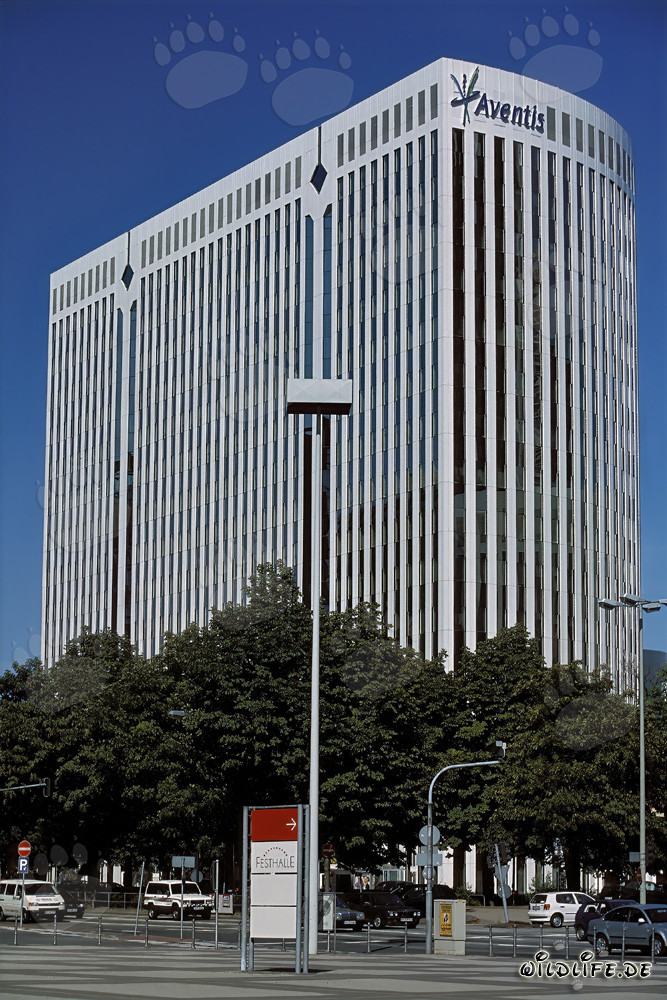 Architecture du bâtiment Aventis à Francfort-sur-le-Main, Hesse, Allemagne