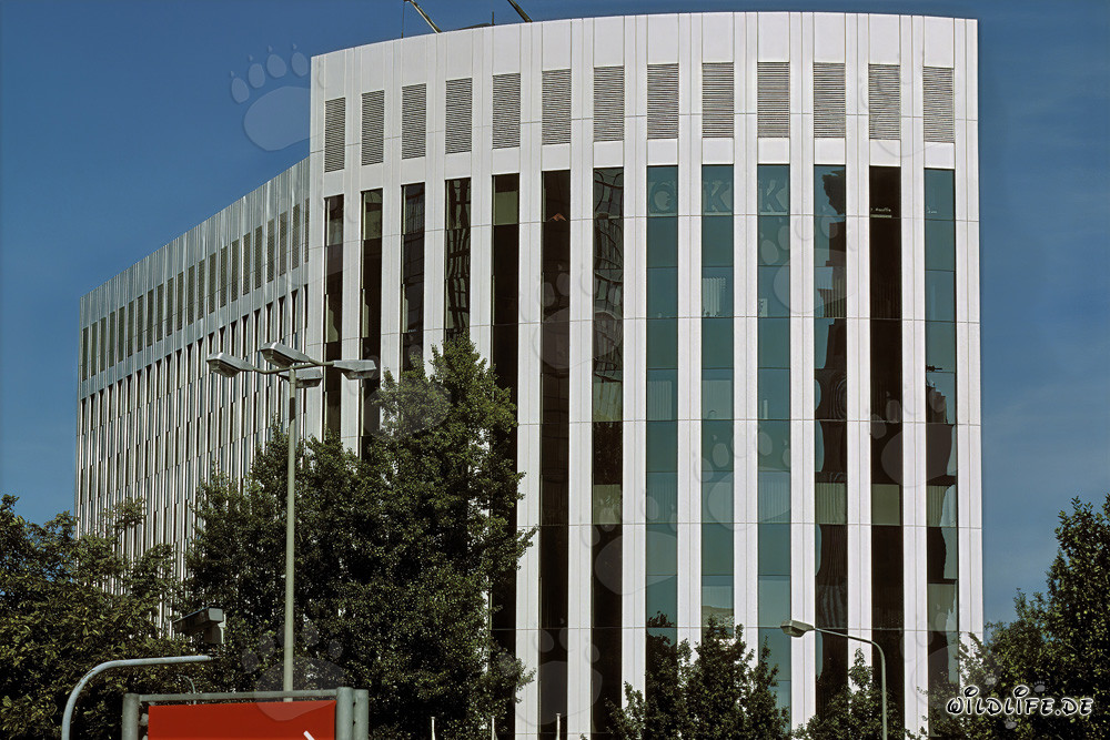 Architecture moderne à Aventis Francfort - impressionnant bâtiment dans la métropole du Main