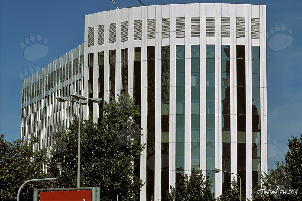 Architettura moderna ad Aventis Francoforte - impressionante edificio nella metropoli del Meno
