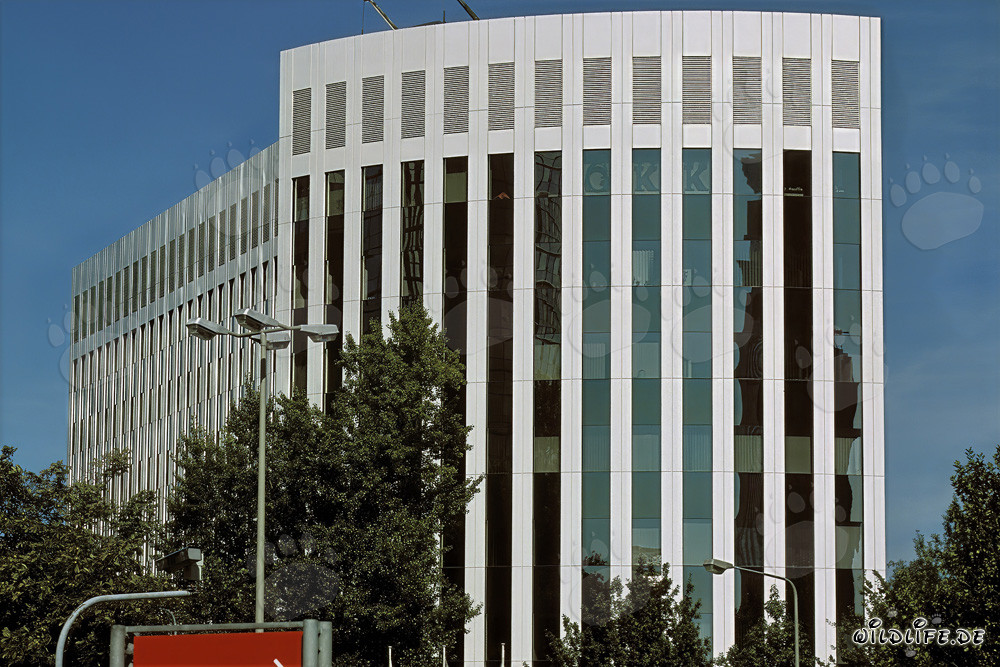 Arquitectura moderna en Aventis Frankfurt - impresionante edificio en la metrópoli del Main