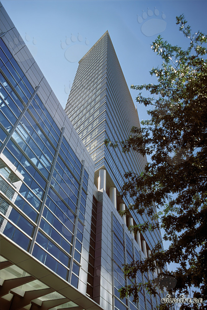 Gratte-ciel imposant Pollux à Francfort-sur-le-Main la nuit