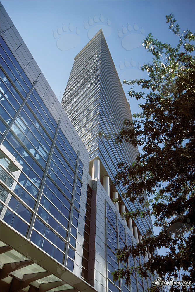 Impressive high-rise building Pollux in Frankfurt am Main at night