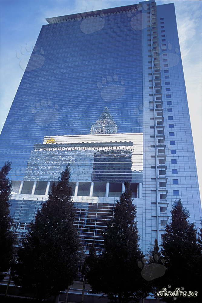 Élégant Pollux au cœur de Francfort-sur-le-Main