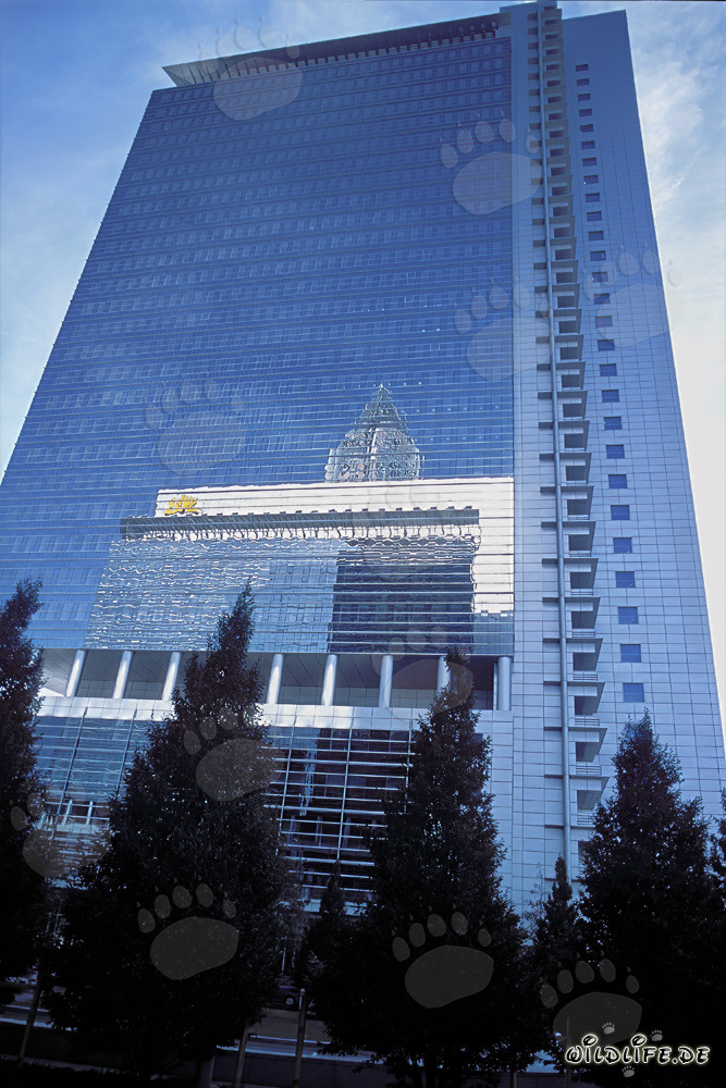 Elegante Pollux nel cuore di Francoforte sul Meno