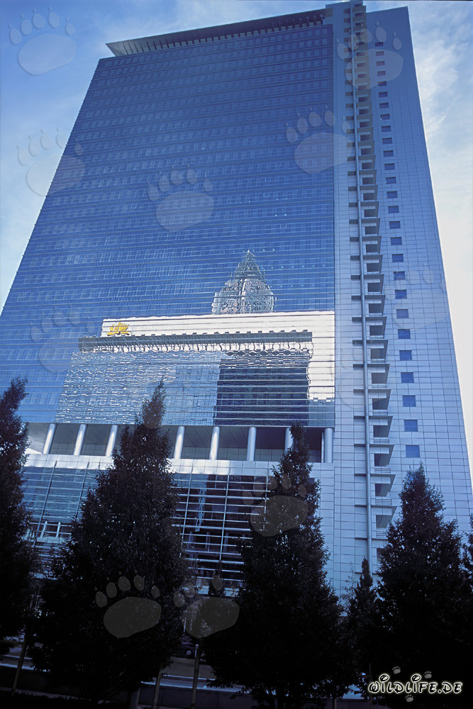 Elegant Pollux in the Heart of Frankfurt am Main