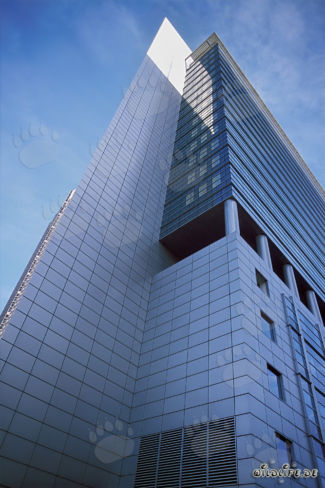 Elegante Pollux: Maestoso grattacielo a Francoforte sul Meno