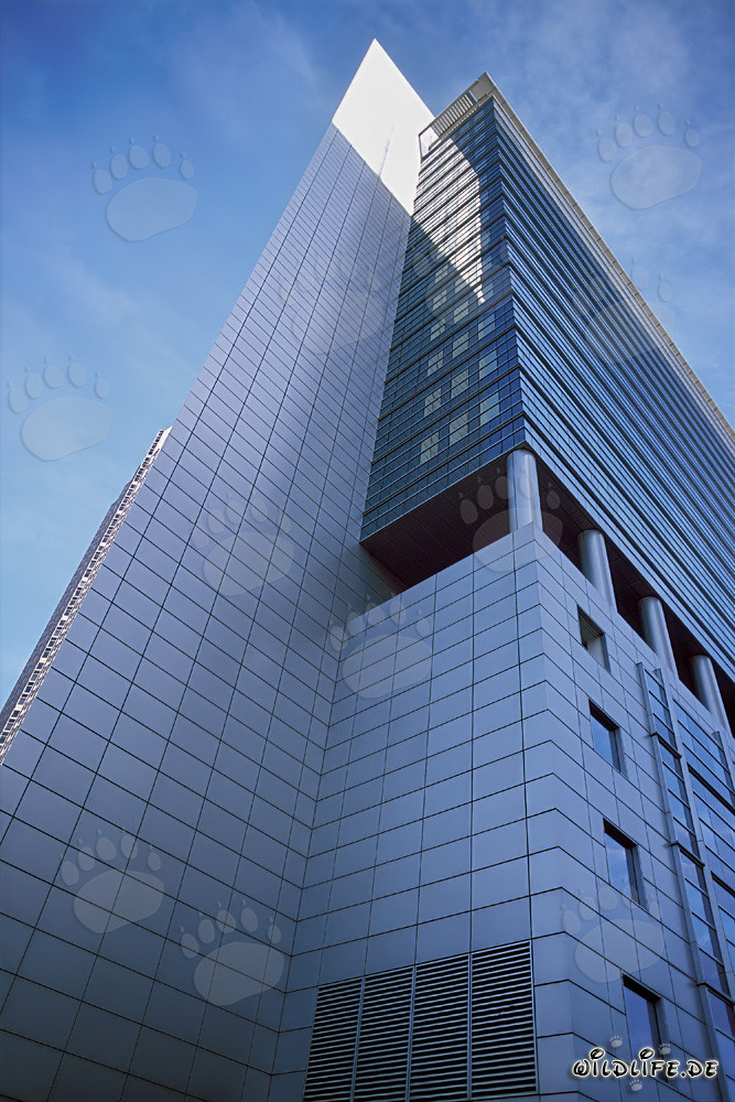 Elegante Pollux: Majestuoso rascacielos en Frankfurt am Main