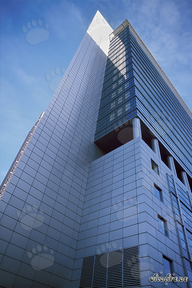 Eleganter Pollux: Majestätischer Wolkenkratzer in Frankfurt am Main