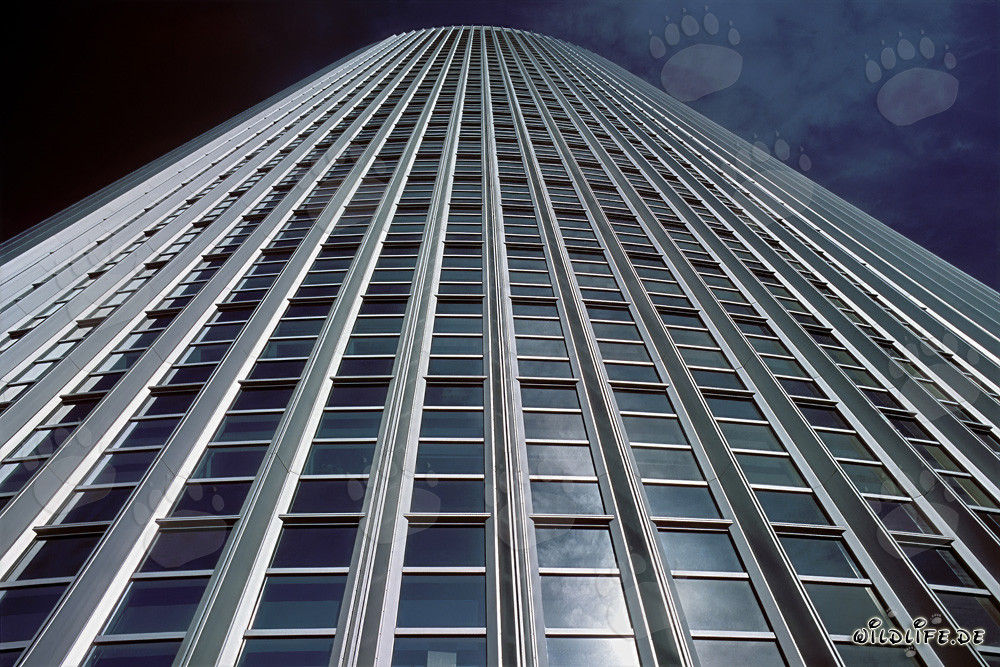 Architecture fascinante : Les tours jumelles Castor et Pollux à Francfort-sur-le-Main