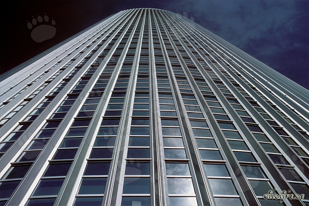 Architettura affascinante: Le torri gemelle Castor e Pollux a Francoforte sul Meno