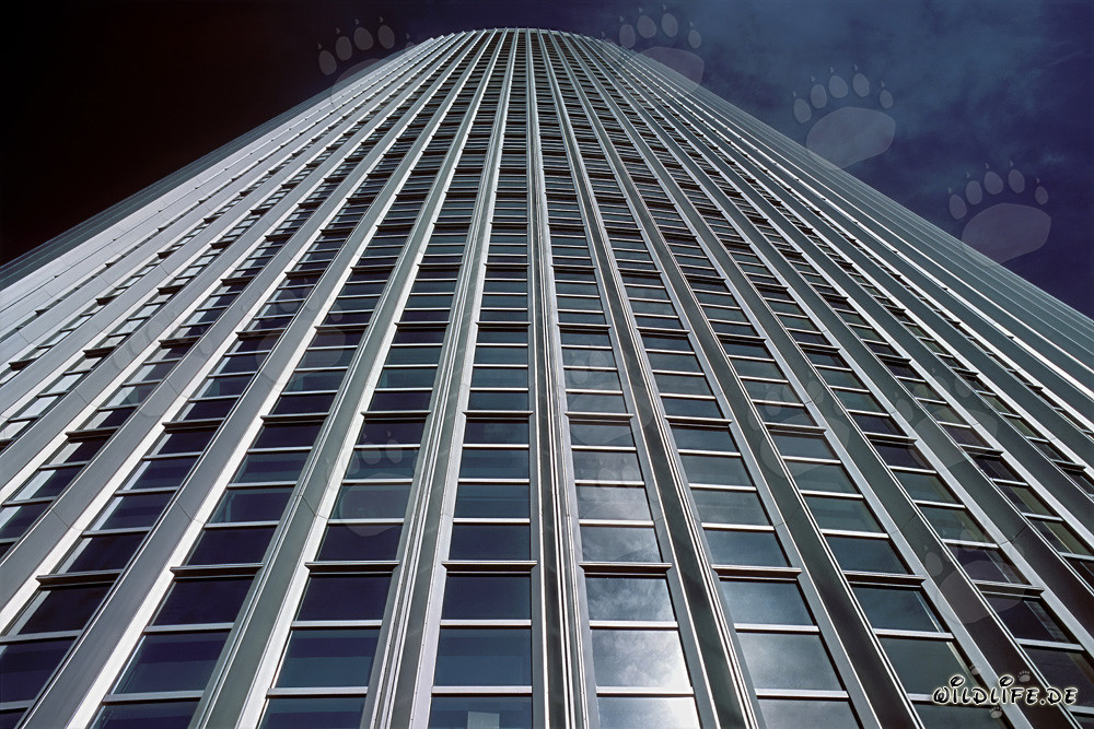 Fascinating Architecture: The Twin Towers Kastor and Pollux in Frankfurt am Main