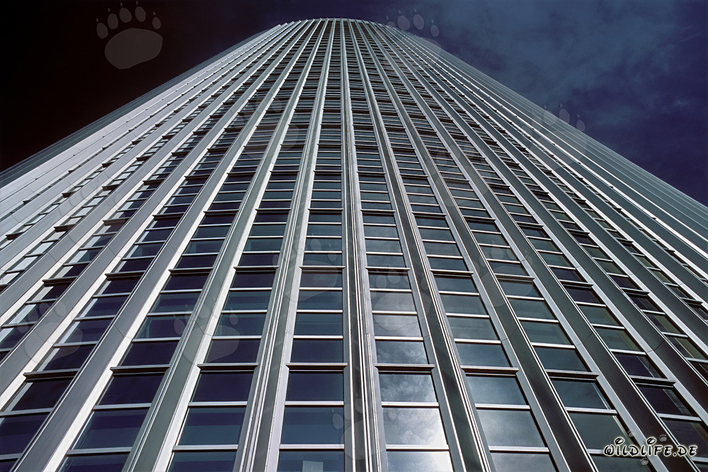 Arquitectura fascinante: Las torres gemelas Castor y Pollux en Fráncfort del Meno