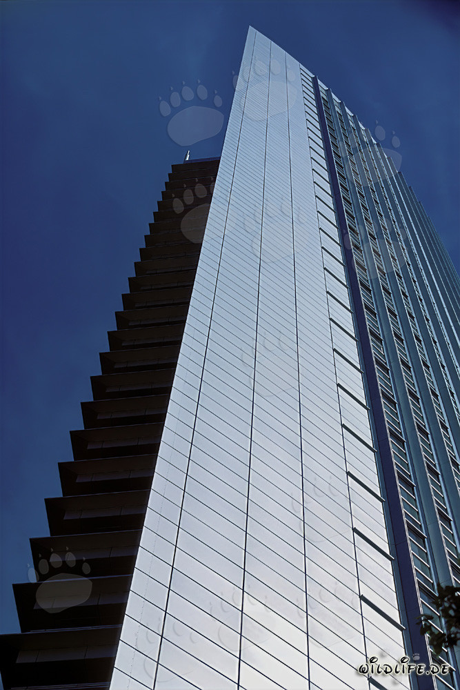 Fascinant gratte-ciel Pollux à Francfort-sur-le-Main