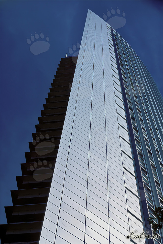 Fascinante grattacielo Pollux a Francoforte sul Meno