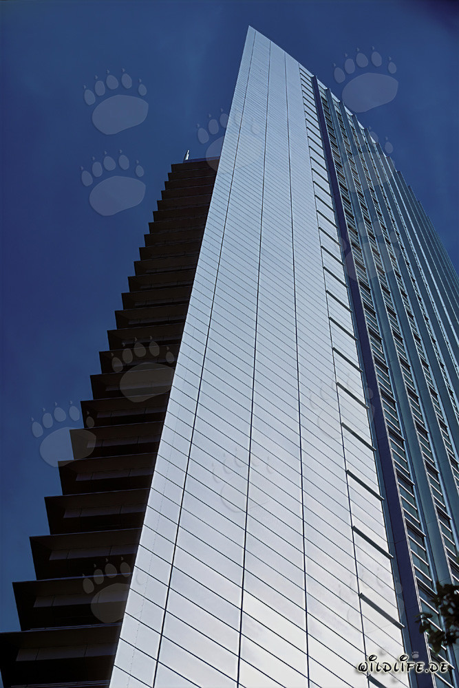 Faszinierendes Hochhaus Pollux in Frankfurt am Main