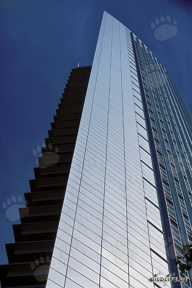 Fascinating skyscraper Pollux in Frankfurt am Main