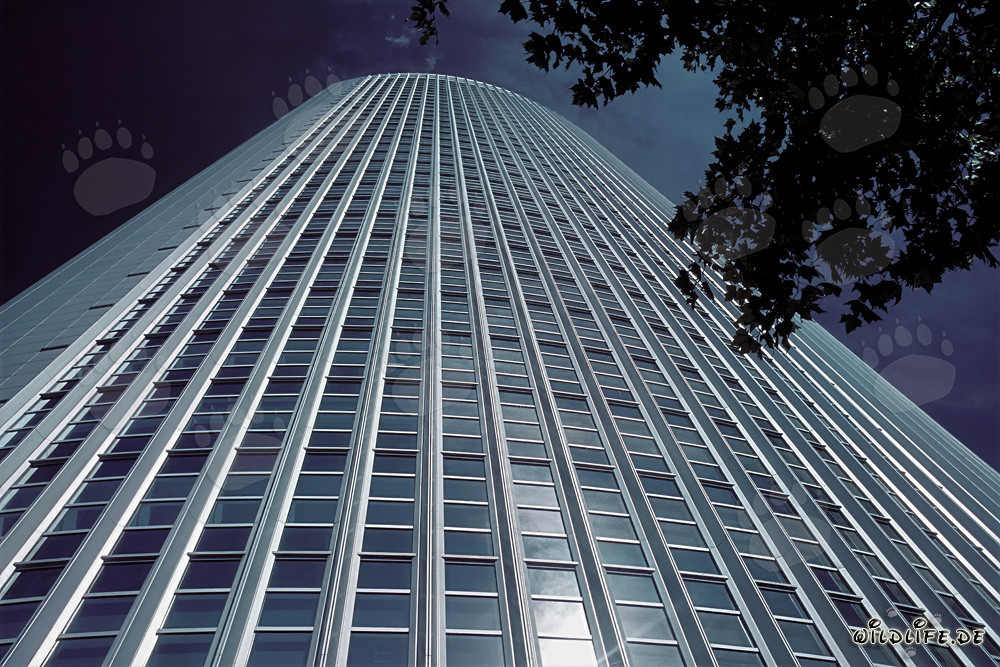 Bâtiment de bureau moderne élégant Pollux à Francfort-sur-le-Main au coucher du soleil