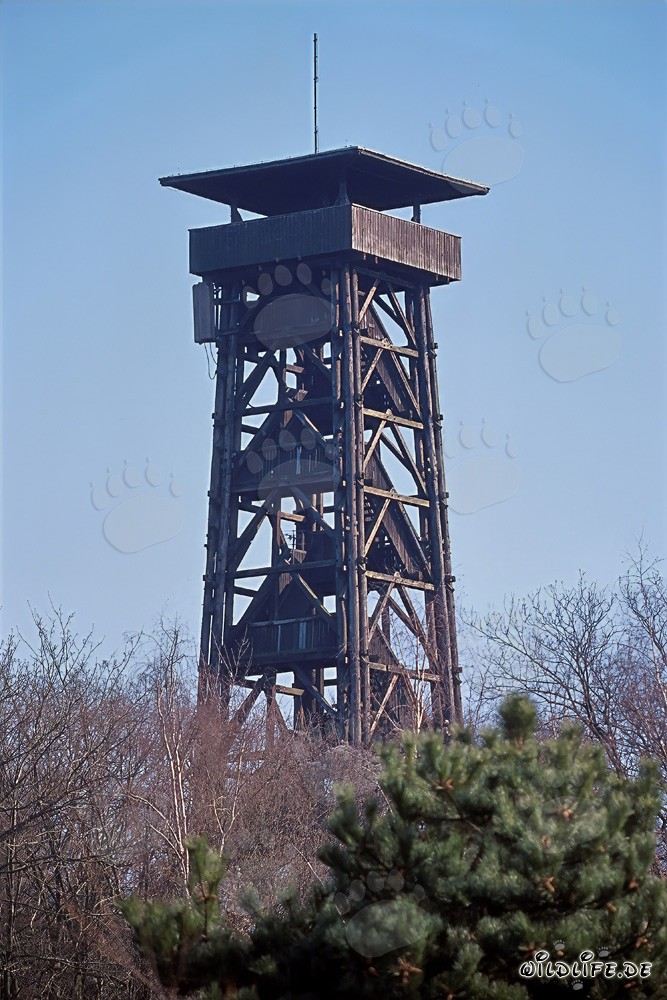 Vue sur l'imposante tour Goethe à Francfort-sur-le-Main