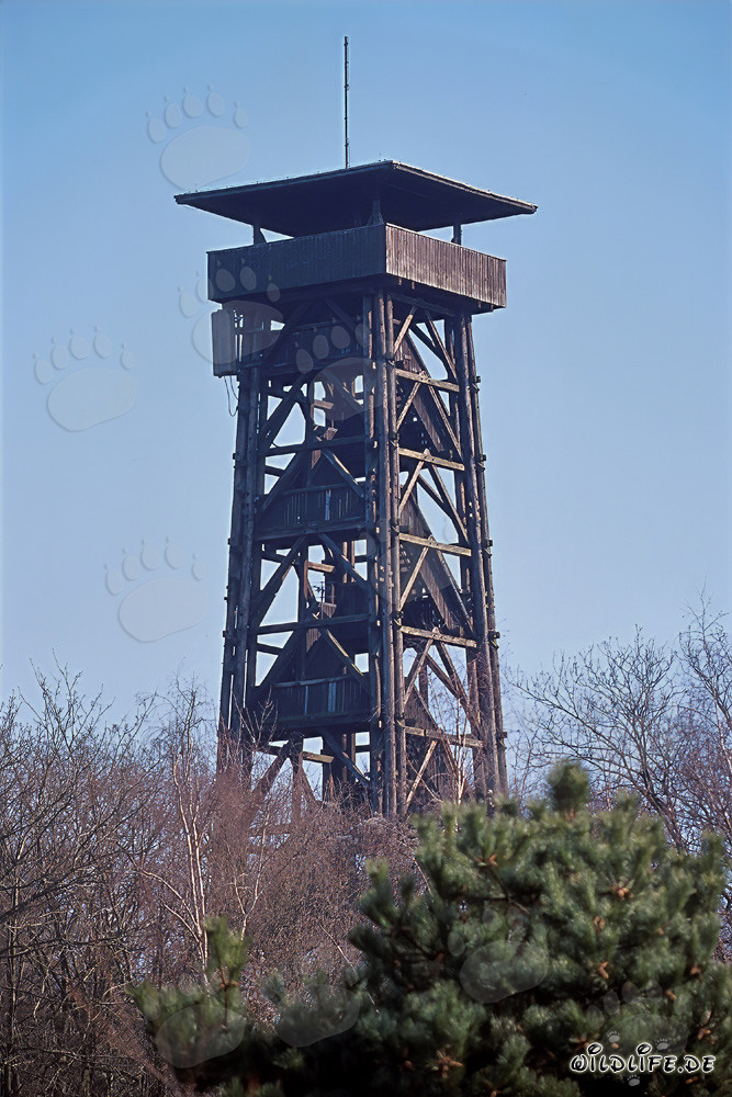 Vista sull'imponente Goetheturm a Francoforte sul Meno
