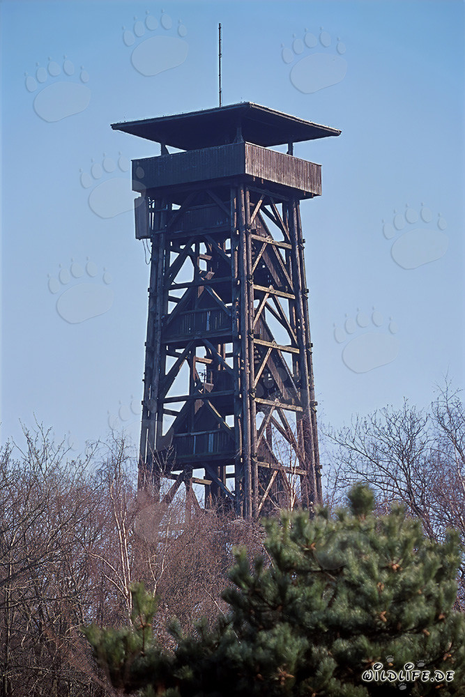 Blick auf den imposanten Goetheturm in Frankfurt am Main