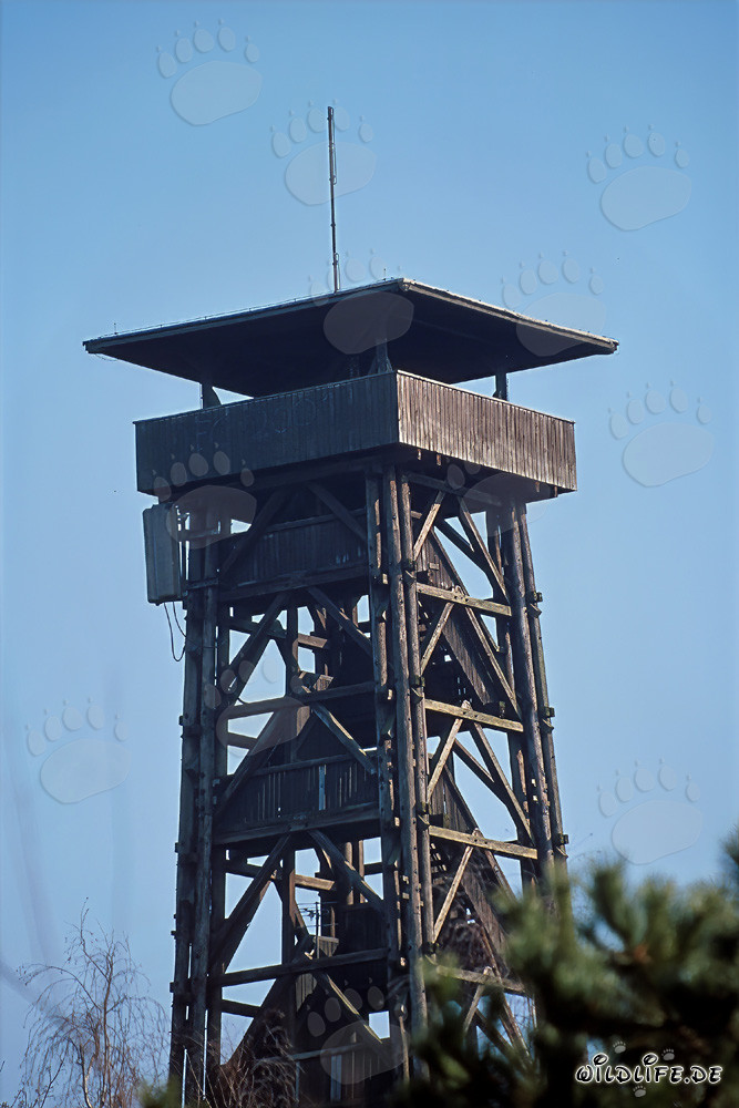 Tour d'observation Goetheturm à Francfort-sur-le-Main