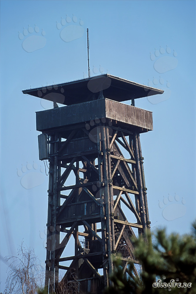 Torre panoramica Goetheturm a Francoforte sul Meno