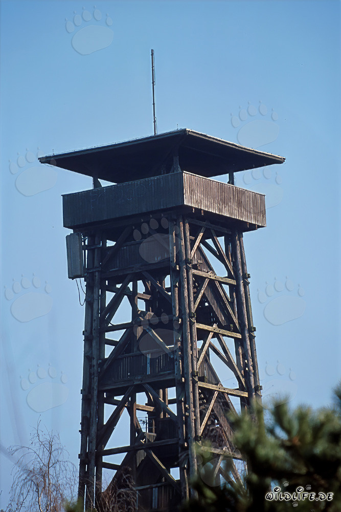 Aussichtsturm Goetheturm in Frankfurt am Main