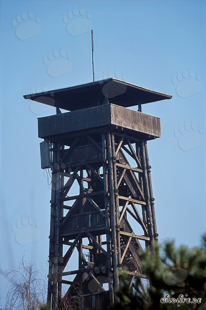 Torre de observación Goetheturm en Frankfurt am Main