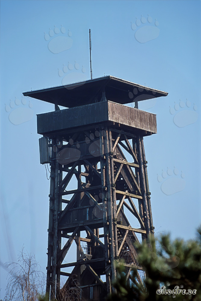 Viewing Tower Goetheturm in Frankfurt am Main